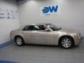 Linen Gold Metallic - 300 Touring Photo No. 6