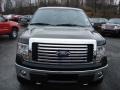 2011 Ebony Black Ford F150 XLT SuperCrew 4x4  photo #3