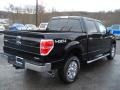 Ebony Black - F150 XLT SuperCrew 4x4 Photo No. 8