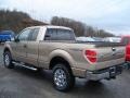 2011 Pale Adobe Metallic Ford F150 XLT SuperCab 4x4  photo #6