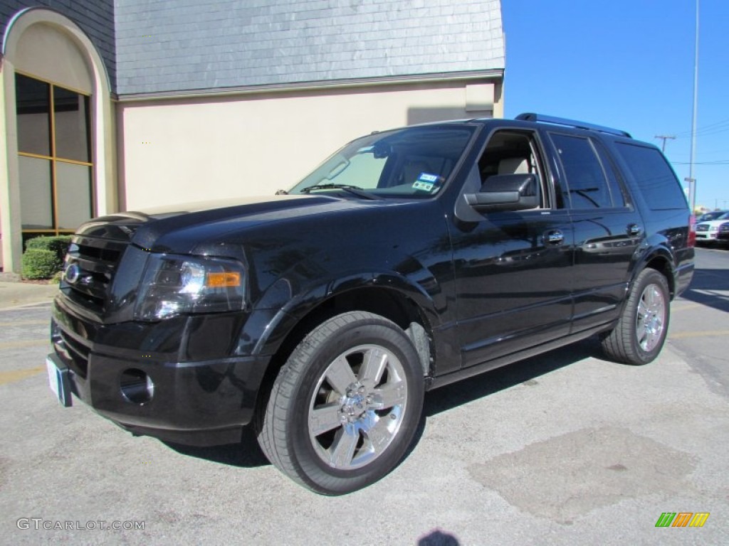 2010 Ford Expedition Limited Exterior Photos