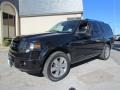 2010 Tuxedo Black Ford Expedition Limited  photo #7