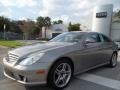 Pewter Metallic - CLS 500 Photo No. 1