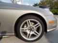 Pewter Metallic - CLS 500 Photo No. 11