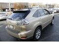 2009 Golden Almond Metallic Lexus RX 350 AWD  photo #6