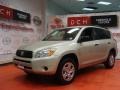 Beige Metallic - RAV4 4WD Photo No. 1