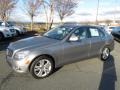 Pewter Metallic - C 300 Luxury Photo No. 1