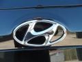 2012 Twilight Black Hyundai Santa Fe Limited V6  photo #15