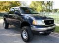 True Blue Metallic 2003 Ford F150 XLT SuperCrew 4x4 Exterior