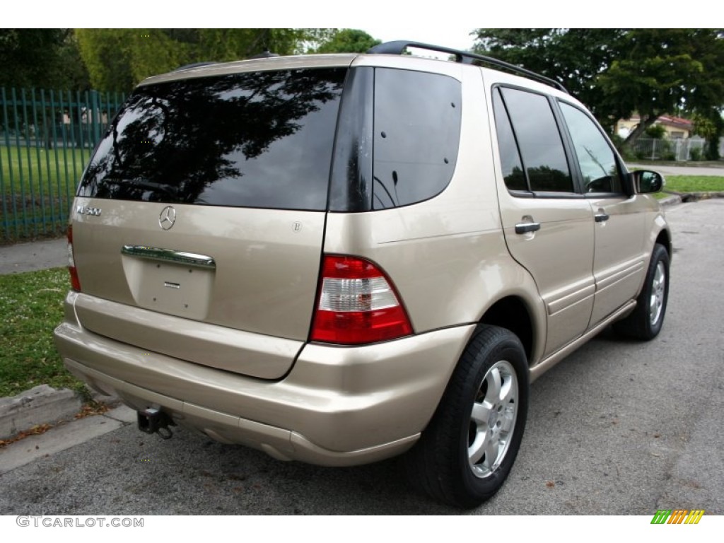 2002 ML 500 4Matic - Desert Silver Metallic / Java photo #8