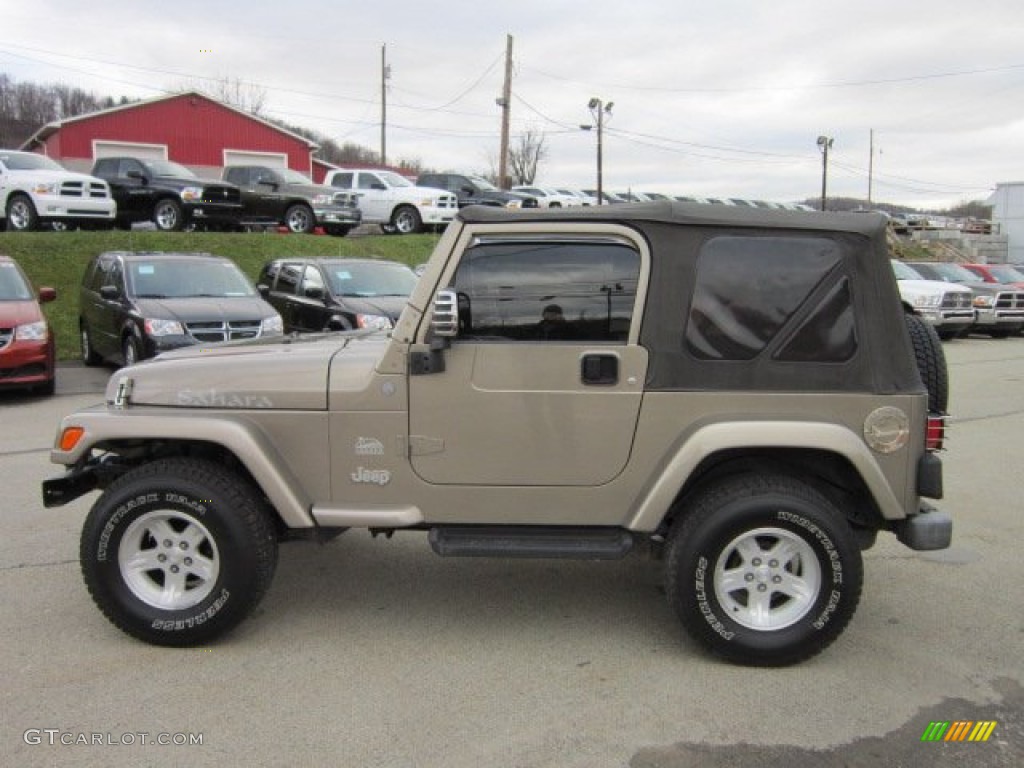 2004 Wrangler Sahara 4x4 - Light Khaki Metallic / Khaki photo #2