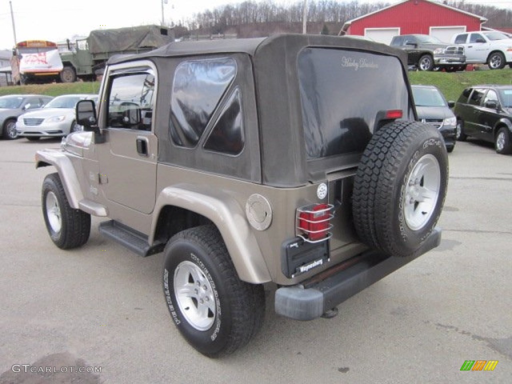 2004 Wrangler Sahara 4x4 - Light Khaki Metallic / Khaki photo #3