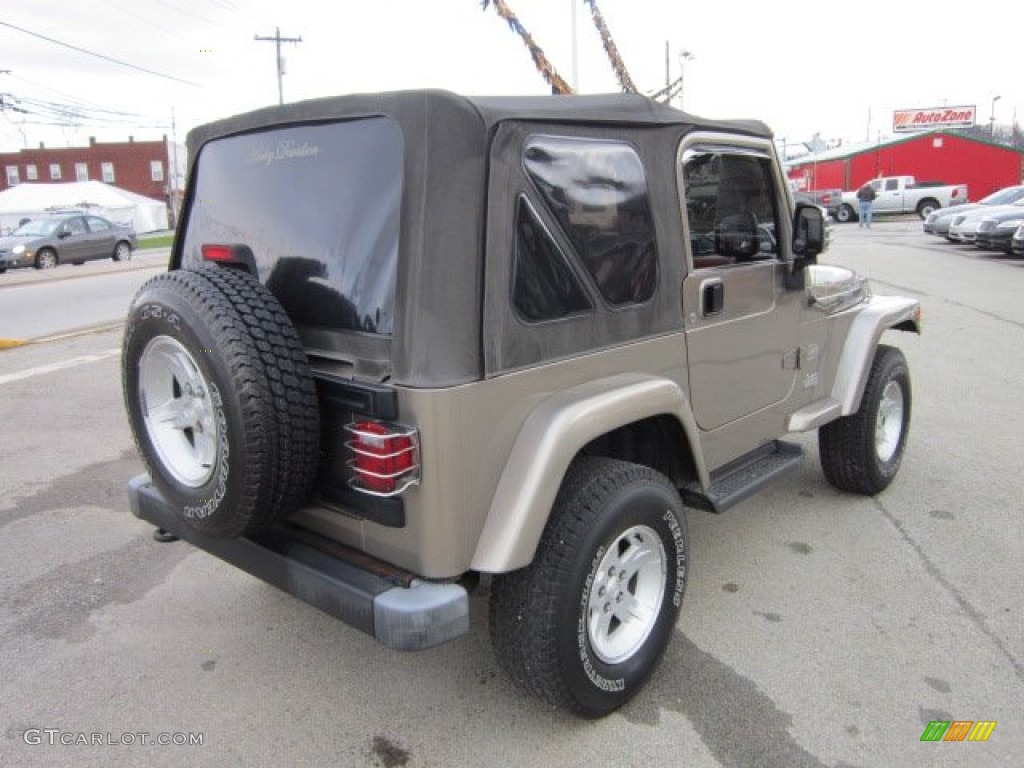2004 Wrangler Sahara 4x4 - Light Khaki Metallic / Khaki photo #6