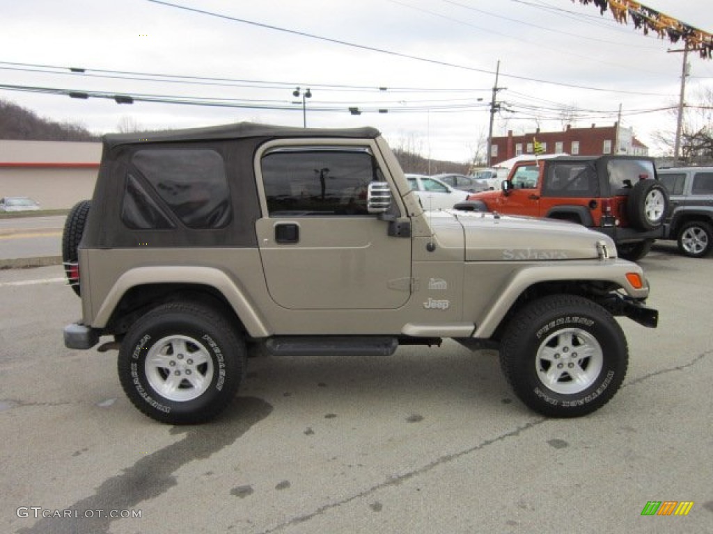 2004 Wrangler Sahara 4x4 - Light Khaki Metallic / Khaki photo #7