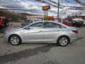 Radiant Silver - Sonata GLS Photo No. 2