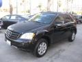 Black - ML 350 4Matic Photo No. 7