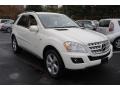 2009 Arctic White Mercedes-Benz ML 320 BlueTec 4Matic  photo #7