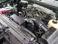 2011 Ebony Black Ford F150 XLT SuperCrew 4x4  photo #10