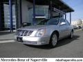Radiant Silver Metallic - DTS  Photo No. 1