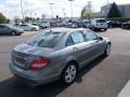 Steel Grey Metallic - C 300 Luxury 4Matic Photo No. 2
