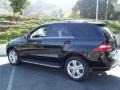 Black - ML 350 4Matic Photo No. 4