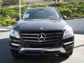 Black - ML 350 4Matic Photo No. 5