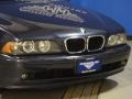 2002 Toledo Blue Metallic BMW 5 Series 530i Sedan  photo #24