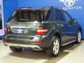 2009 Jade Green Metallic Mercedes-Benz ML 350 4Matic  photo #9