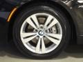 Jet Black - 5 Series 528xi Sedan Photo No. 24