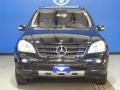 Black - ML 350 4Matic Photo No. 2