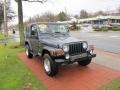 2002 Steel Blue Pearl Jeep Wrangler Sport 4x4  photo #3