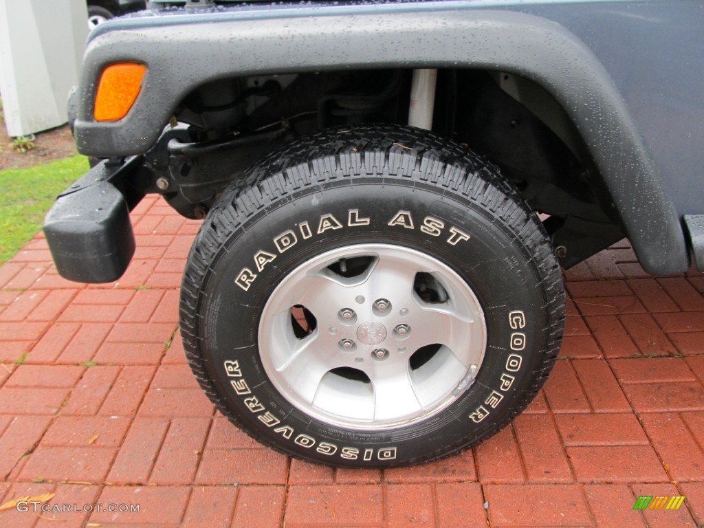 2002 Wrangler Sport 4x4 - Steel Blue Pearl / Agate Black photo #8