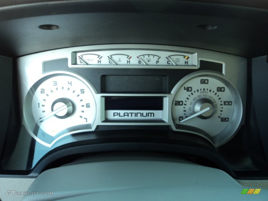 2010 F150 Platinum SuperCrew 4x4 - Ingot Silver Metallic / Medium Stone Leather/Sienna Brown photo #8