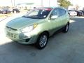 Kiwi Green 2010 Hyundai Tucson GLS