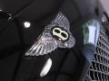 2007 Bentley Continental Flying Spur Standard Continental Flying Spur Model Badge and Logo Photo