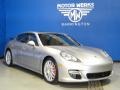 Platinum Silver Metallic - Panamera Turbo Photo No. 1