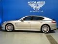 Platinum Silver Metallic - Panamera Turbo Photo No. 5