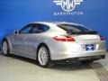 Platinum Silver Metallic - Panamera Turbo Photo No. 8