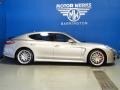 Platinum Silver Metallic - Panamera Turbo Photo No. 9