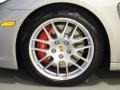 Platinum Silver Metallic - Panamera Turbo Photo No. 26
