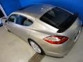 Platinum Silver Metallic - Panamera Turbo Photo No. 29