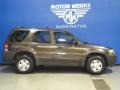 2007 Tungsten Grey Metallic Ford Escape XLS  photo #10