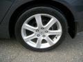 Carbon Gray Pearl - TSX Sedan Photo No. 4