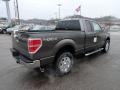 Sterling Gray Metallic 2012 Ford F150 XLT SuperCab 4x4 Exterior