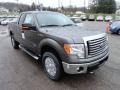 Sterling Gray Metallic 2012 Ford F150 Gallery