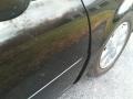 Black Raven - DeVille Sedan Photo No. 4