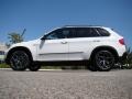 Alpine White - X5 3.0si Photo No. 2