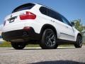 Alpine White - X5 3.0si Photo No. 13