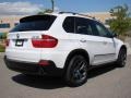 Alpine White - X5 3.0si Photo No. 34