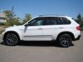 Alpine White - X5 3.0si Photo No. 36